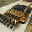 Fernandes JS-100: Gotoh FRT    