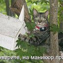 ���� ������, ���������, 42 ���� - ��������� 11 ������ 2014 � ������ �����������
