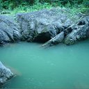 �������� ��� �� ���� �������. �� ������� ���� ����������