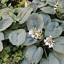 ���� �����, ������ �������� - ��������� 29 ���� 2014 � ������ �2014 ��