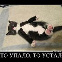 ���� ����, ����������, 41 ��� - ��������� 21 ����� 2014 � ������ ������ ��������