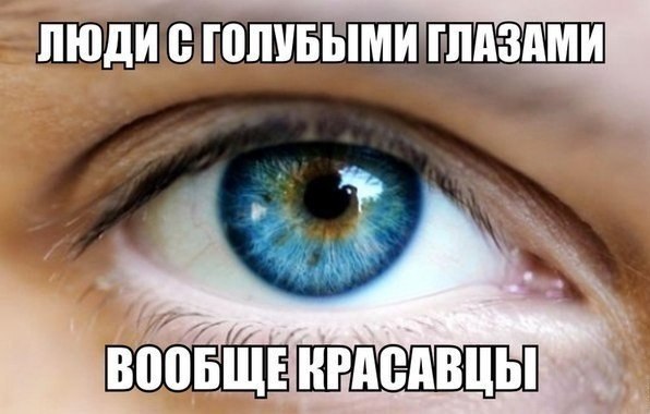    |   - 10  2014  15:36
