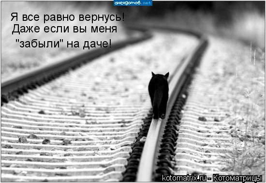   :3 - 8  2014  16:43