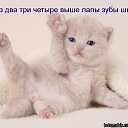 ���� �argo, ������� - ��������� 27 ���� 2014 � ������ ������ ��������