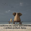 ���� �����, ������, 55 ��� - ��������� 2 ������ 2014 � ������ ���� ����������