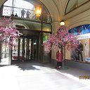  ,  -  30  2014      2014 .