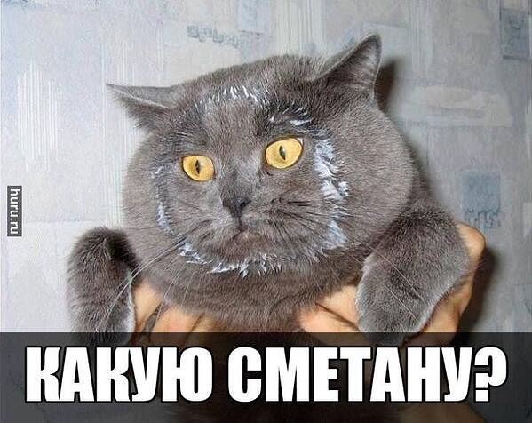 Скачай это бесплатное Фото на тему Не пущу мем и открой изображение 132