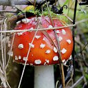 ���� �����, �����, 64 ���� - ��������� 6 ��� 2014 � ������ ������������ ������