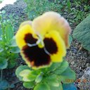  ,  -  26  2014     .