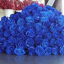 ���� � � � � � � � �, ����, 86 ��� - ��������� 21 ������ 2014 � ������ ������ ��������
