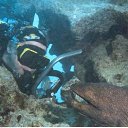 strangers in the deep �� ������� ���� ����������