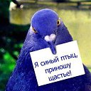 ���� ����������, ���� - ��������� 7 ������� 2014 � ������ ���� ����������