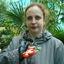 ���� ������, ������, 44 ���� - ��������� 10 ���� 2014 � ������ ���� ����������