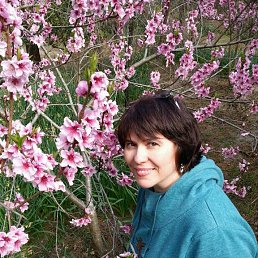 ���������, �����, 51 ���