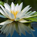 ���� �����, ������-��-����, 64 ���� - ��������� 21 ���� 2014 � ������ ������� �������