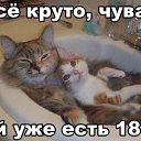 ���� �������, ��������, 59 ��� - ��������� 9 ������ 2014 � ������ ������ ��������