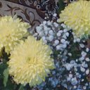 ���� ������, �������� - ��������� 25 ����� 2014 � ������ ���� ����������