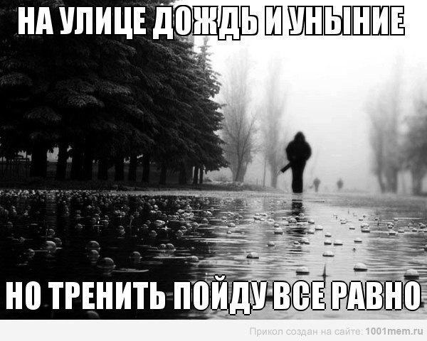  -   - 16  2014  17:00
