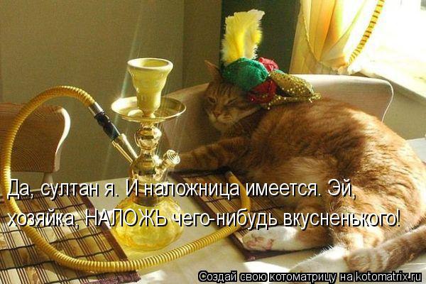 /zev/null - 10  2014  22:15
