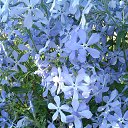 ���� �������, ������, 58 ��� - ��������� 7 ��� 2014 � ������ ��������