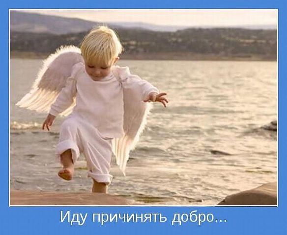 :   . - , 62 , 
