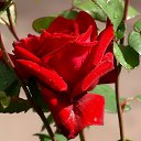 ���� ������, ������ - ��������� 11 ���� 2014 � ������ ������ ��������