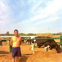 ���� �����, ������, 52 ���� - ��������� 12 ������� 2014 � ������ ���� ����������