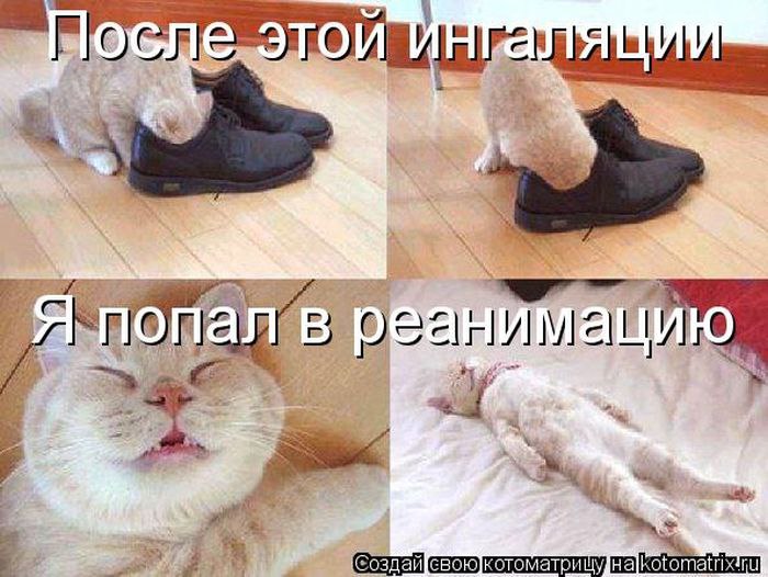 Cshohkolad - 14  2014  11:53