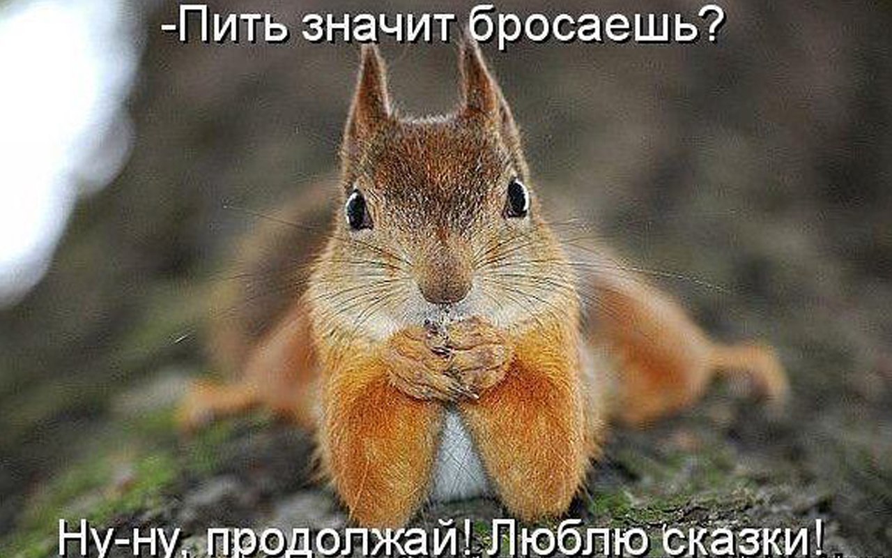   - 2  2014  07:07