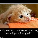 ���� ����, ��������, 64 ���� - ��������� 22 ���� 2014 � ������ ������ ��������
