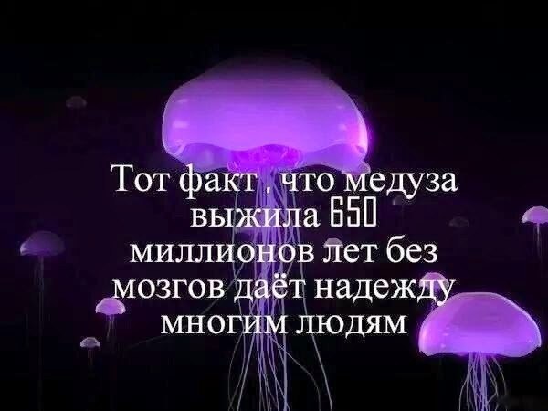 Alexandr Kuimov - 30  2014  15:43