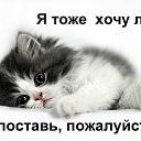 ���� �� �����, ������ - ��������� 4 ������ 2014 � ������ ���� ����������