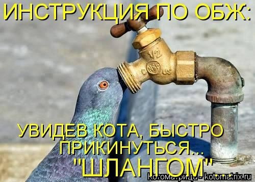   - 29  2014  11:10