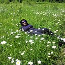 ���� �������, �����������, 53 ���� - ��������� 29 ���� 2014 � ������ ����