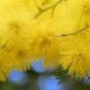 ���� ������, ������ - ��������� 3 ������ 2014 � ������ ���� ����������