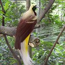 ���� ==Elena==, ������� - ��������� 18 ���� 2014 � ������ ���� ����������