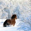 ���� Meruert, ������� - ��������� 27 ���� 2014 � ������ ��������