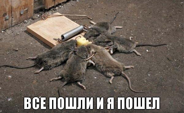     ! =))) <a href=