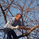 ���� ��������, ��������, 67 ��� - ��������� 23 ���� 2014 � ������ ���� ����������