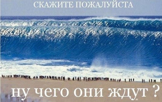 ( ) - 4  2014  16:50