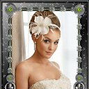 ���� ����, �������� - ��������� 17 ���� 2014 � ������ ���� ����������