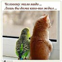 ���� �����, ��������, 63 ���� - ��������� 15 ��� 2014 � ������ ������ ��������