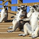 ���� �����, ���������, 60 ��� - ��������� 31 ����� 2014 � ������ ������ ��������