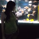 ���� ����, ��������� - ��������� 10 ������� 2014 � ������ ���� ����������