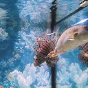 ���� ����, ��������� - ��������� 10 ������� 2014 � ������ ���� ����������