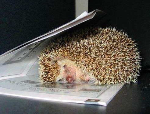  ,  ,     !.....   ,   ...