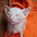 ���� ������, ���-�����, 48 ��� - ��������� 19 ������ 2014 � ������ ������ ��������