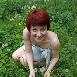 , 55, 