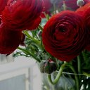 ���� Tatiana, ����������� - ��������� 24 ���� 2014 � ������ ������ ��������