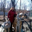 ���� �����:*, ������� ������ - ��������� 29 ������ 2014 � ������ ���� ����������